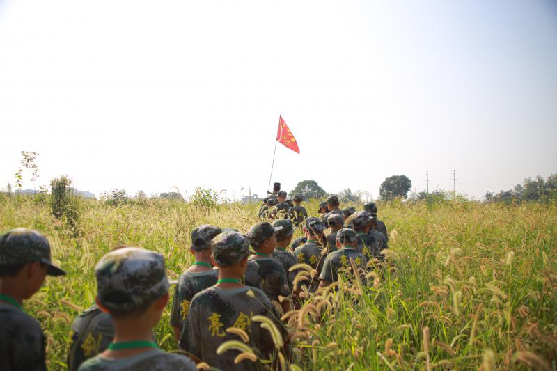 在野外没桥如何渡河？